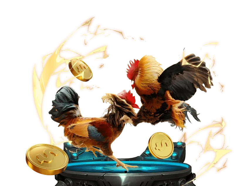 Tổng quan về đá gà trực tuyến SHBET17